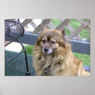 Nummer één zoon poster