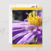 Nummer zonder titel 9 briefkaart (Voorkant / Achterkant)