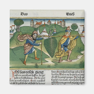 Nummers 13 23 De druiven van Eschol uit de "Nure" Magneet