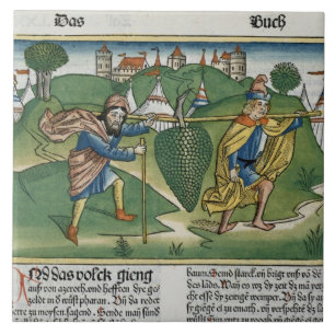 Nummers 13 23 De druiven van Eschol uit de "Nure" Tegeltje