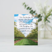 Nummers 6:24-26 briefkaart (Staand voorkant)