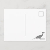 Nunavut bij nacht briefkaart (Achterkant)
