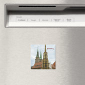 Nuremberg Magneet (Insitu (Vaatwasser))