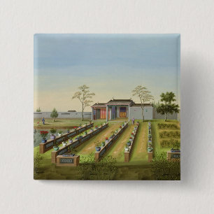 Nursery Garden, c.1820-40 (m/c op papier) Vierkante Button 5,1 Cm