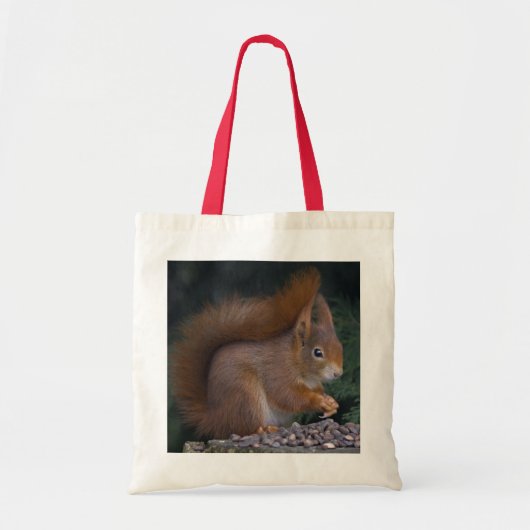 Nut Brunch Bag Tote Bag (Voorkant)
