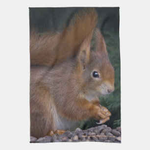 Nut Brunch Kitchen Towel Theedoek