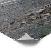 Nut in Oklahoma Poster (Hoek)