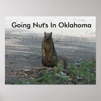Nut in Oklahoma Poster