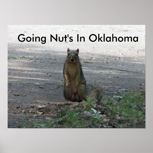 Nut in Oklahoma Poster (Voorkant)