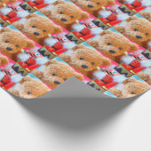 Nutcracker praat over teddybeer cadeaupapier (Hoek)