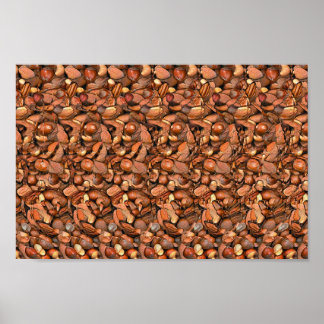 Nutcracker Squirrel - Verborgen 3D-druk Poster