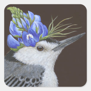 nuthatch à poitrine blanche avec autocollants de