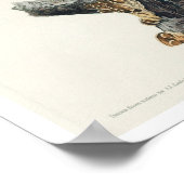 Nuthatch à poitrine rouge par Audubon Poster (Coin)