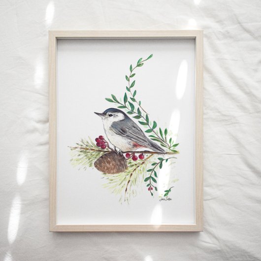 Nuthatch Bird Art Print