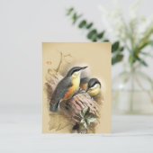  Nuthatch Birds Briefkaart (Staand voorkant)