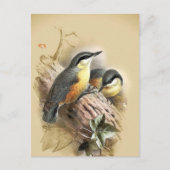  Nuthatch Birds Briefkaart (Voorkant)