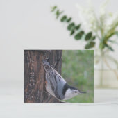 Nuthatch Briefkaart (Staand voorkant)