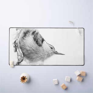 Nuthatch, Canadian Bird Photography