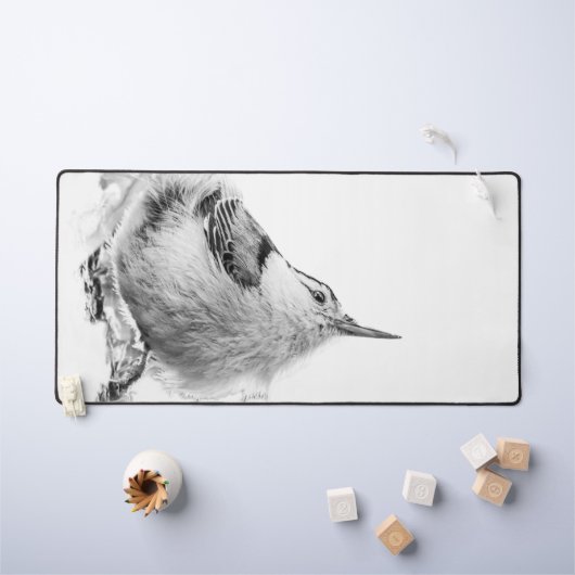 Nuthatch, Canadian Bird Photography (Tableau pour enfants)