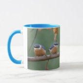Nuthatch collage mok (Links)