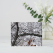 Nuthatch dans la carte postale de neige (Debout devant)