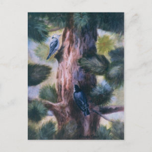 Nuthatch Love op First Sight Briefkaart