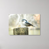 Nuthatch met Zonnebloempitten Natuur Print (Voorkant)