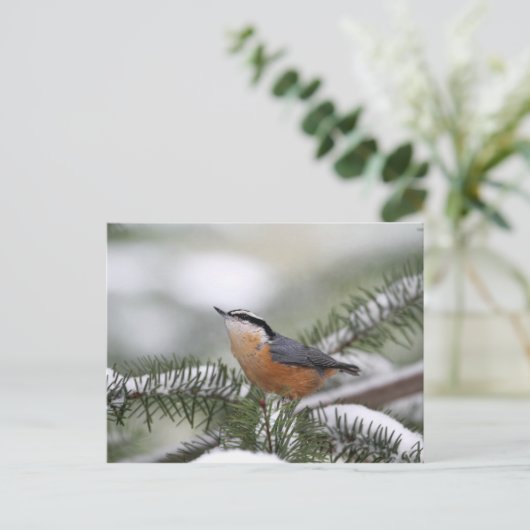 Nuthatch op Snowy Branch in Winter Briefkaart (Staand voorkant)