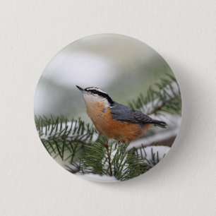 Nuthatch op Snowy Branch in Winter Ronde Button 5,7 Cm