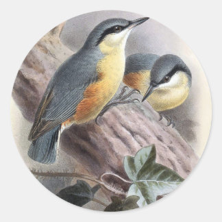 Nuthatch Ronde Sticker