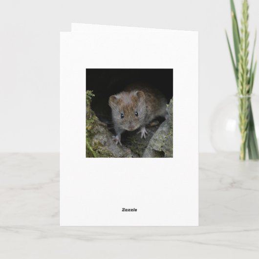 Nuthatch sur une carte d'arbre (Dos)