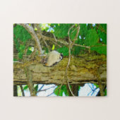 Nuthatch Wildlife Michigan Legpuzzel (Horizontaal)