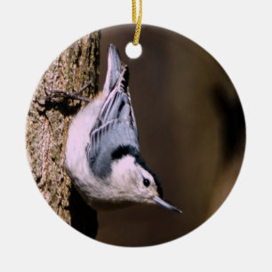Nuthatch wit-Breasted Ornament