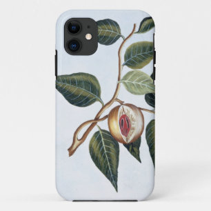 Nutmeg, bord 7, uit 'Collectie Precieuse et Enl iPhone 11 Hoesje