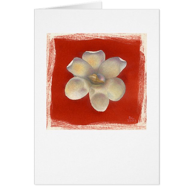Nutmeg Shell & Red Flower (Voorkant)
