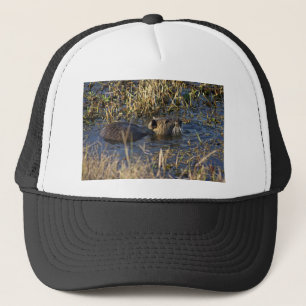 Nutria in water trucker pet