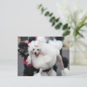 Nuttige dag 2010 #6 briefkaart (Staand voorkant)