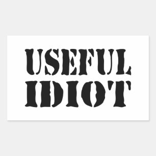 NUTTIGE IDIOOT RECHTHOEKIGE STICKER