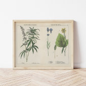 Nuttige Planten | Charlotte Mary Yonge Poster
