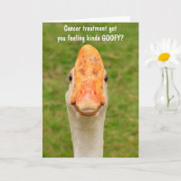 Nutty Goose Cancer Support