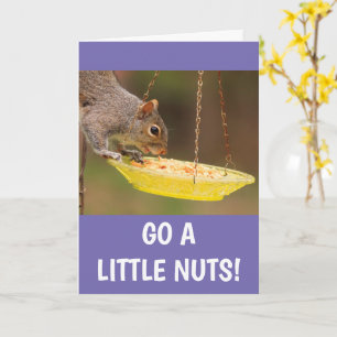 Nutty Squirrel Birthday Kaart