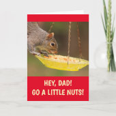 Nutty Squirrel voor pap Birthday Kaart (Voorkant)