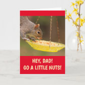 Nutty Squirrel voor pap Birthday Kaart (Gele Bloem)