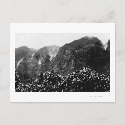 Nuuanu Valley, Hawaii - Uitzicht van de onderste H Briefkaart (Voorkant)