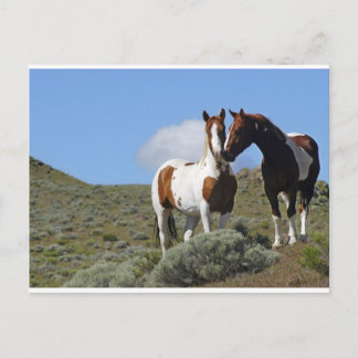 Nuzzling horses briefkaart