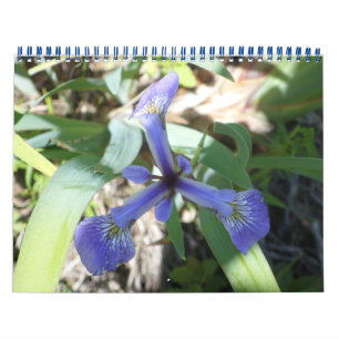 NY door foto's Kalender