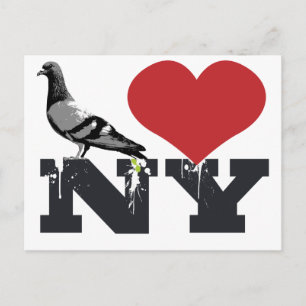 NY Pigeon Briefkaart