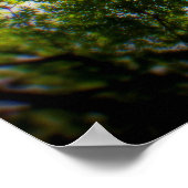 NY Trees Poster (Hoek)