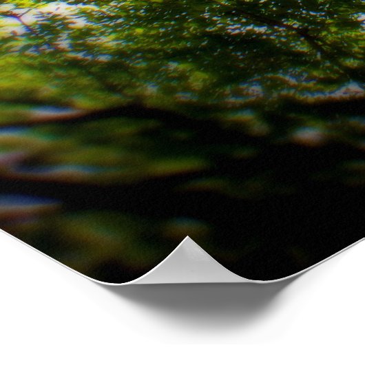 NY Trees Poster (Hoek)