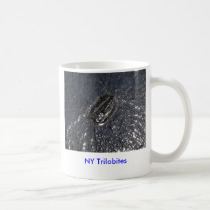 NY Trilobites-Mok Koffiemok